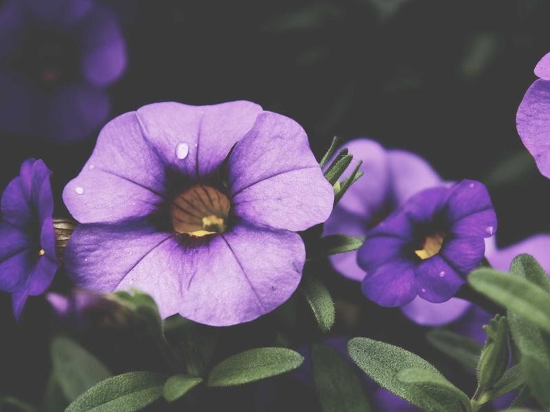 sudoku app download screenshot 4